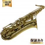 YANAGISAWA   T-WO10