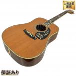 Martin   D-45 DELUXE Tree of Life 1993