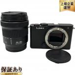 Panasonic  LUMIX S9 DC-S9