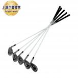 Titleist   VG3 TYPE-D