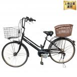 Panasonic  BE-ELST63B