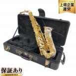 yanagisawa  A-WO37