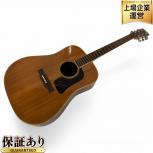 YAMAKI ヤマキ Y50D アコースティックギター 楽器