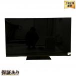 TOSHIBA   REGZA 48X8900N