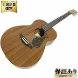 James J-300CP/M NAM エレアコ エレキ アコースティック ギター ジェームス