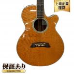 Takamine   PT-108