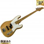Schecter  ストラトキャスター