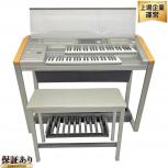 YAMAHA  ELS-01