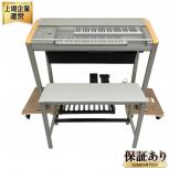 YAMAHA   ELS-01C