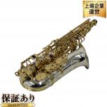YANAGISAWA  WO37