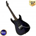 Fernandes   FR-65 (外観判断)