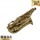 YAMAHA  YAS-875 Custom