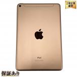 Apple  iPad mini(第5世代)
MUXE2J/A