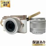 Panasonic  DC-GF10