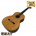 Saez Marin  310