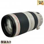 EF100-400mm F4.5-5.6  canon 