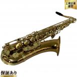 YANAGISAWA   T-WO2
