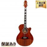 TAKAMINE   TSP178ACK N
