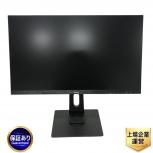 iiyama   PL2590HS