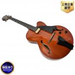 Ibanez  AFC151-DA