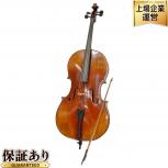 Kaiming violine  Baijing 2009 AA