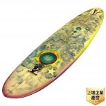 Rainbow Surfboards  