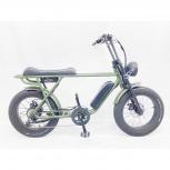BRONX   BUGGY 20