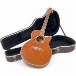 TAKAMINE  TDP500-SP