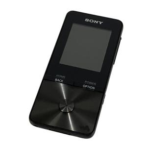 SONY ソニー ウォークマン NW-S315 デジタル オーディオ プレーヤー ポータブル