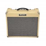Roland  Blues Cube Stage