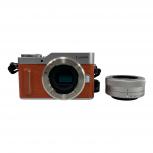  Panasonic  LUMIX DC-GF10