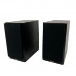 DYNAUDIO   FOCUS 110