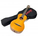 GIG Renaissance  G-101G