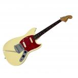 Fender   