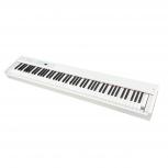 KORG  D1