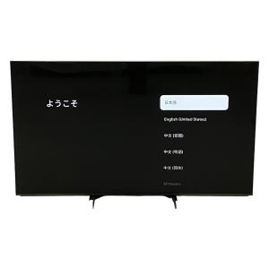 SONY XRJ-65X95L ブラビア 4K液晶テレビ 65型 ソニー 大型