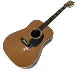 Aria  W-100