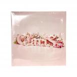 Sony Music ClariS Single Best 1st 19075879171 完全生産限定盤 輸入盤 アナログ盤 LP レコード 品
