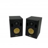 FOSTEX  NF-01A