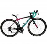 Bianchi   FENICE PRO
