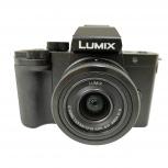 Panasonic  DC-G100V-K