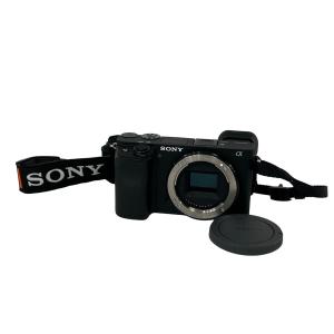 SONY ソニー ミラーレス一眼 α6400 ダブルズームレンズキット シルバー 4K 2420万画素 瞳AF 高速AF カメラ