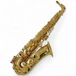 Yanagisawa  A-901