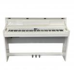 Roland   DP603