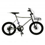tern  AMP F1