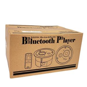 INABA Bluetooth Player ABP-R03-MS スピーカー INABA Bluetooth Player ABP-R03-MS スピーカー
