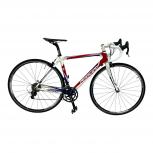 RIDLEY  ORION(外観による判断)