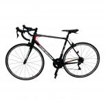 MERIDA  SCULTURA 700 2019
