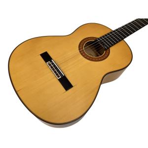 YAMAHA ヤマハ CG-BN1 クラシックギター ボザノバ用 セミハードケース付き 弦楽器 演奏 バンド
