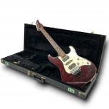 SCHECTER  EX-5-22-CTM-FRT BKCH